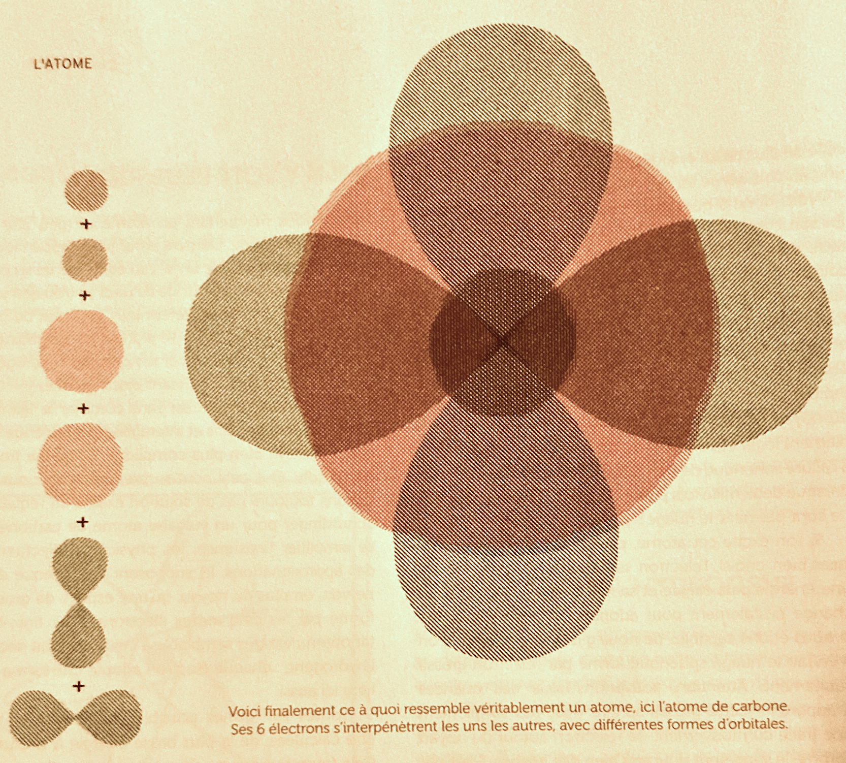Représentation de l'atome de carbone